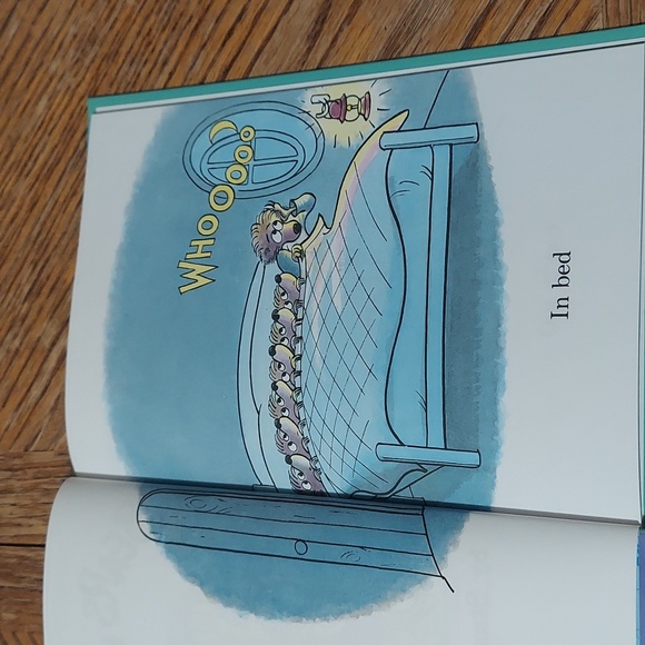 The Berenstain Bears Bears In The Night - Picture 9 of 14